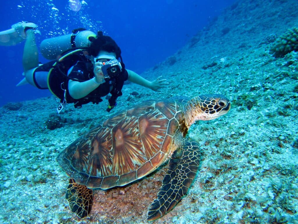 Red Sea Reisen