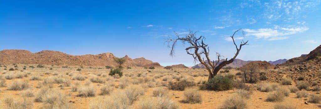 Red Sea Reisen