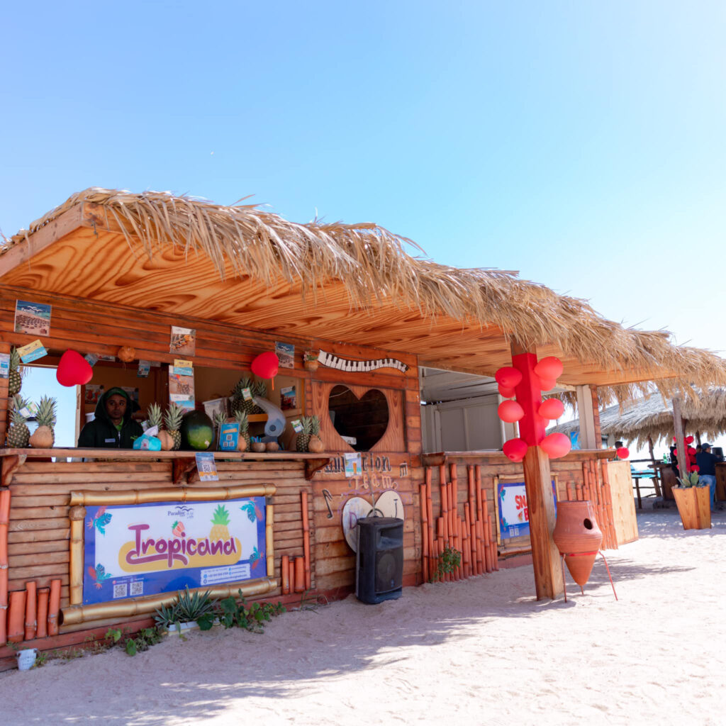Red Sea Reisen