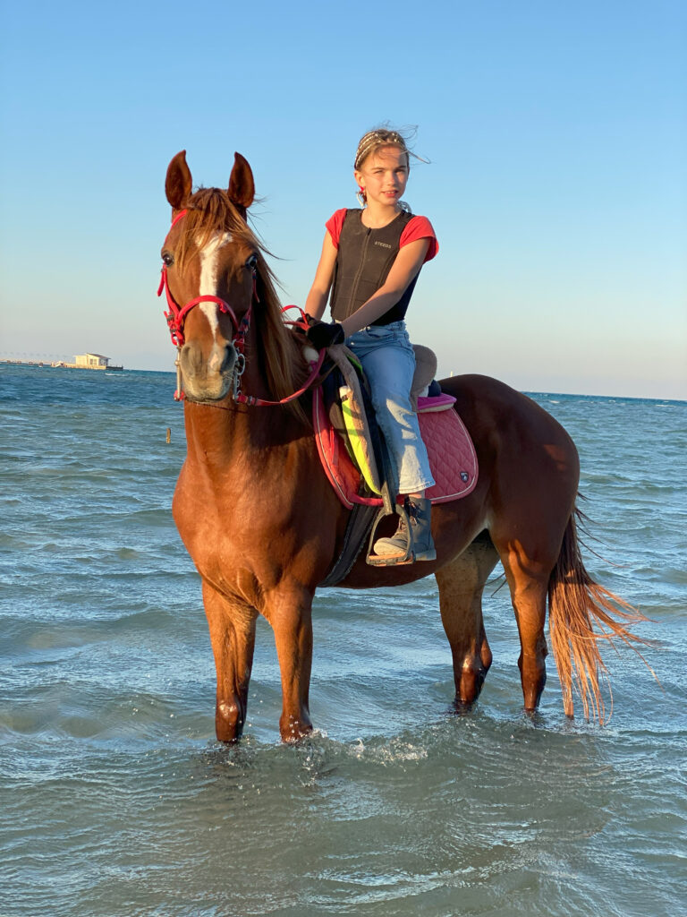 Red Sea Reisen