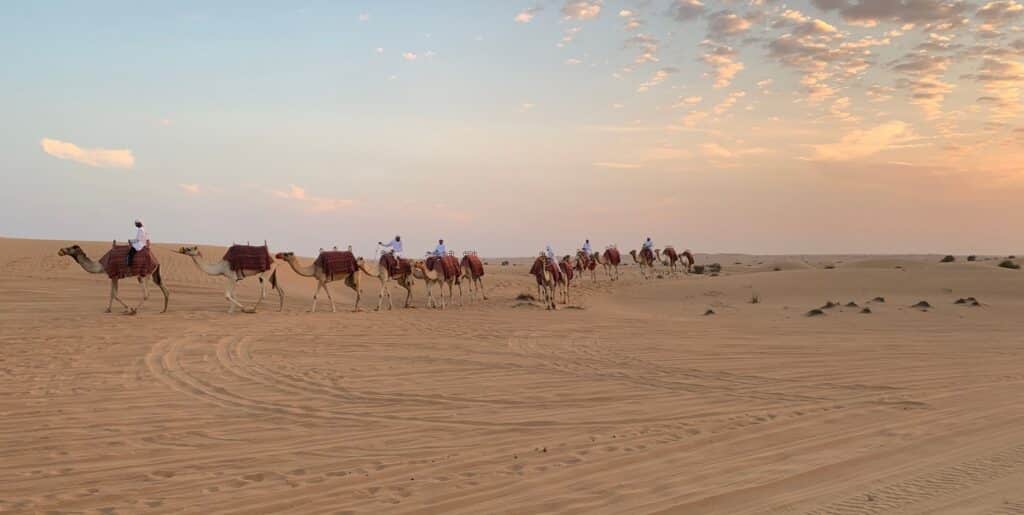 Red Sea Reisen
