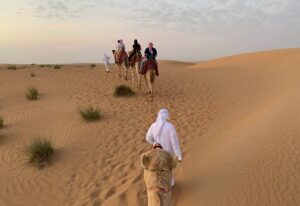 A camel ride and hike through the desert of Dubai at sunset