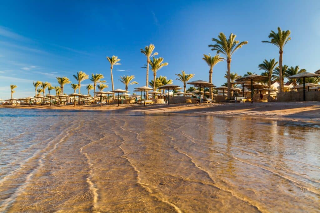 Red Sea Reisen