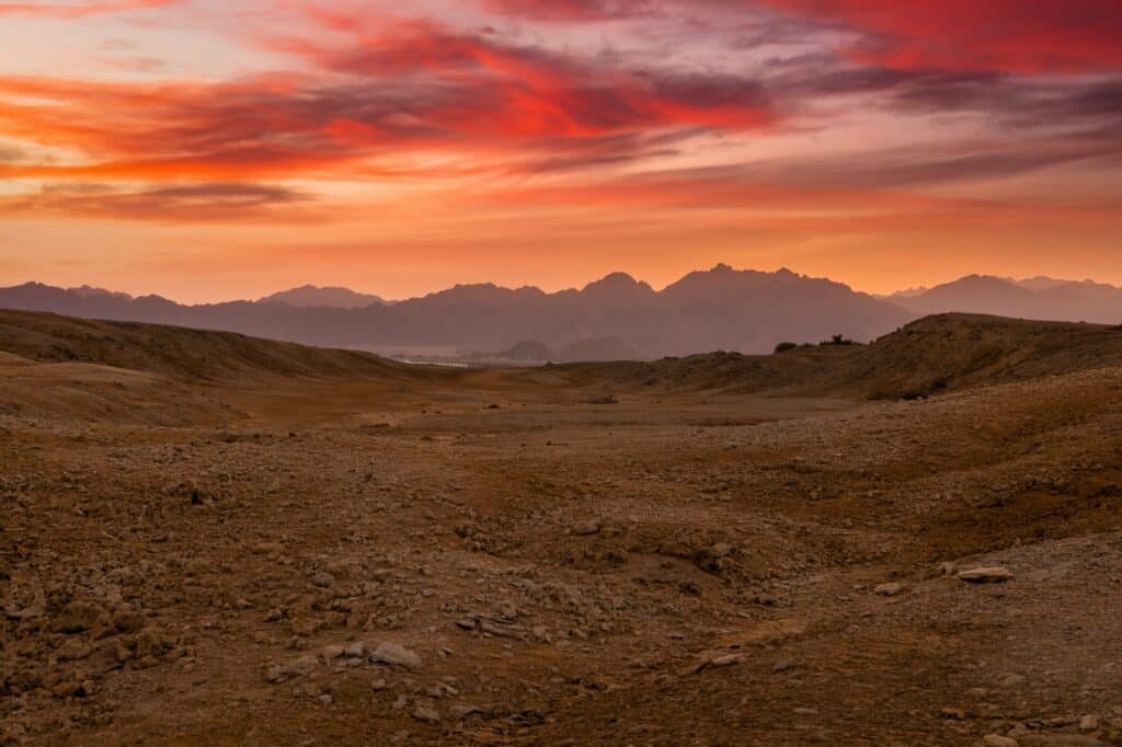 Red Sea Reisen