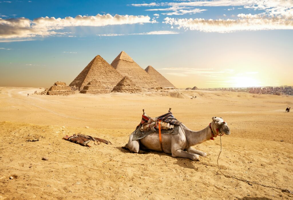 Red Sea Reisen