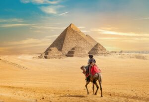 Camel and the Pyramids