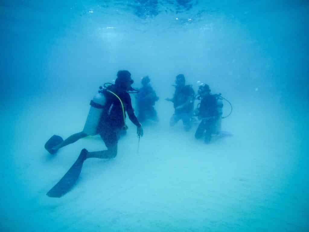 Red Sea Reisen