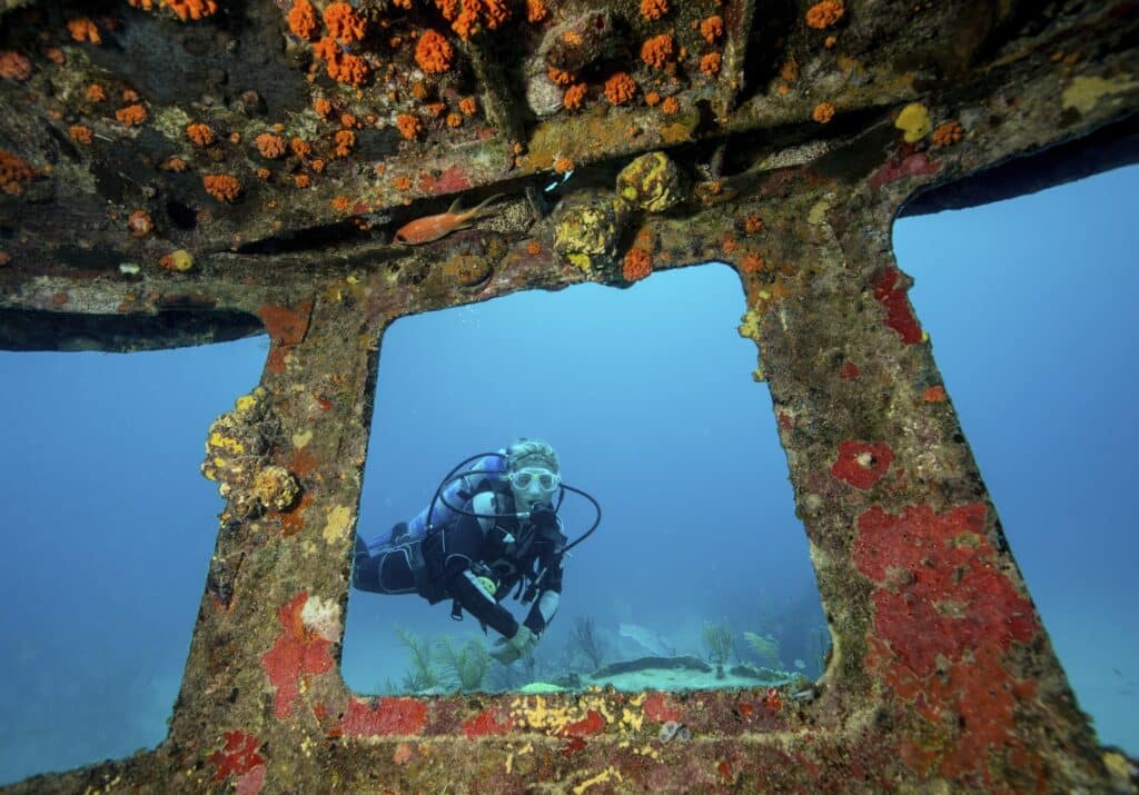 Red Sea Reisen
