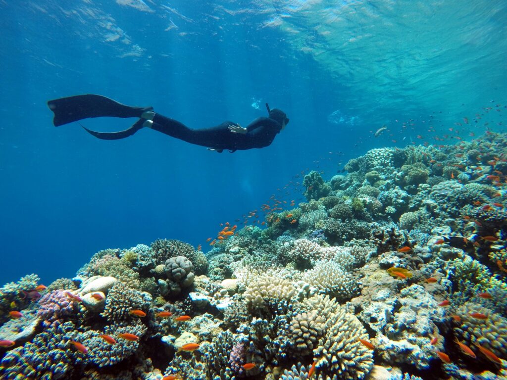 Red Sea Reisen