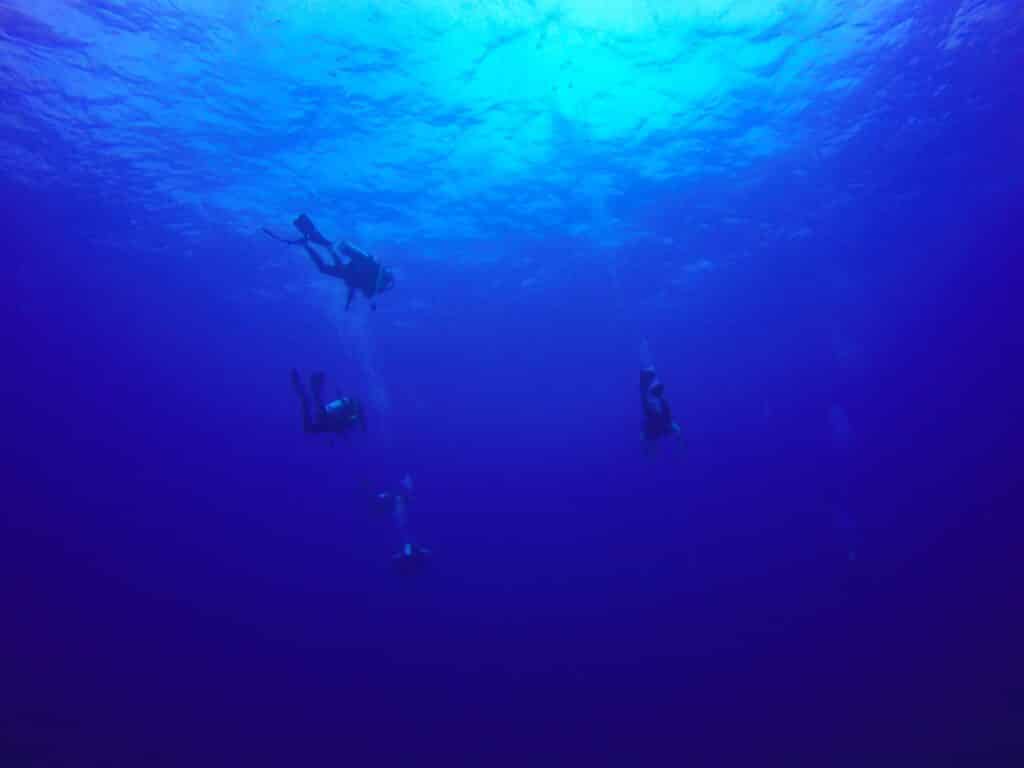 Red Sea Reisen