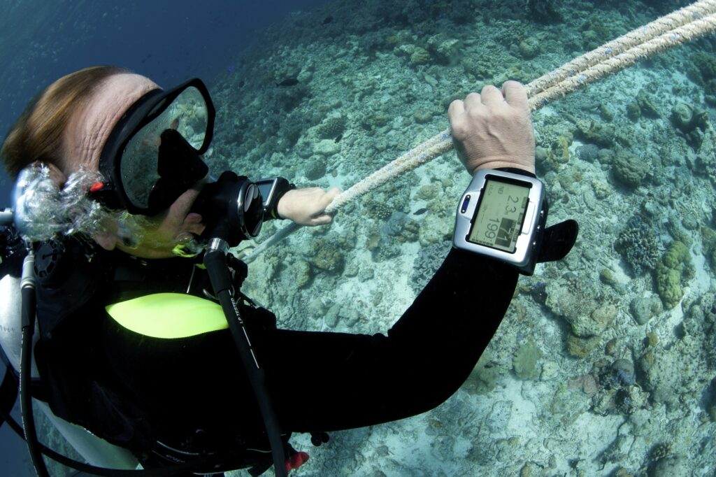 Red Sea Reisen