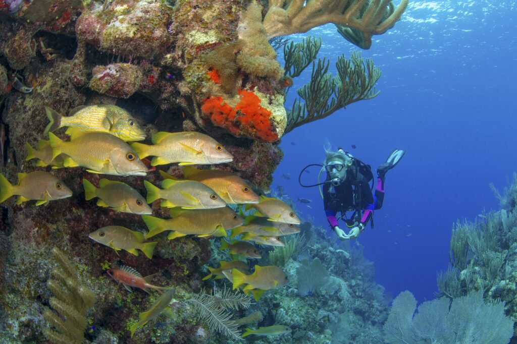 Red Sea Reisen