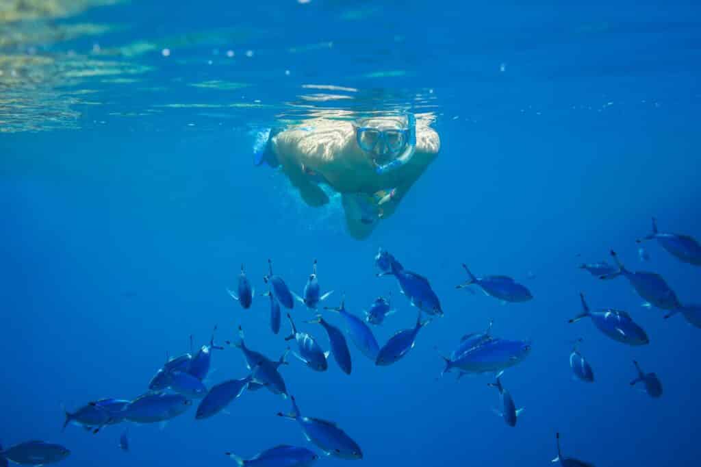 Red Sea Reisen