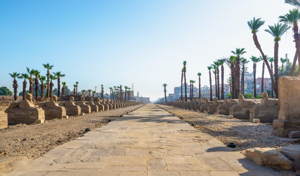 Red Sea Reisen