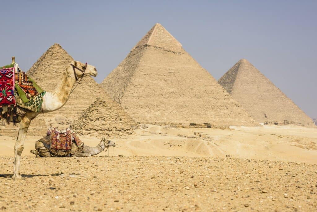 Red Sea Reisen
