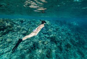 Tourist Snorkeling Turquoise Red Sea Egypt