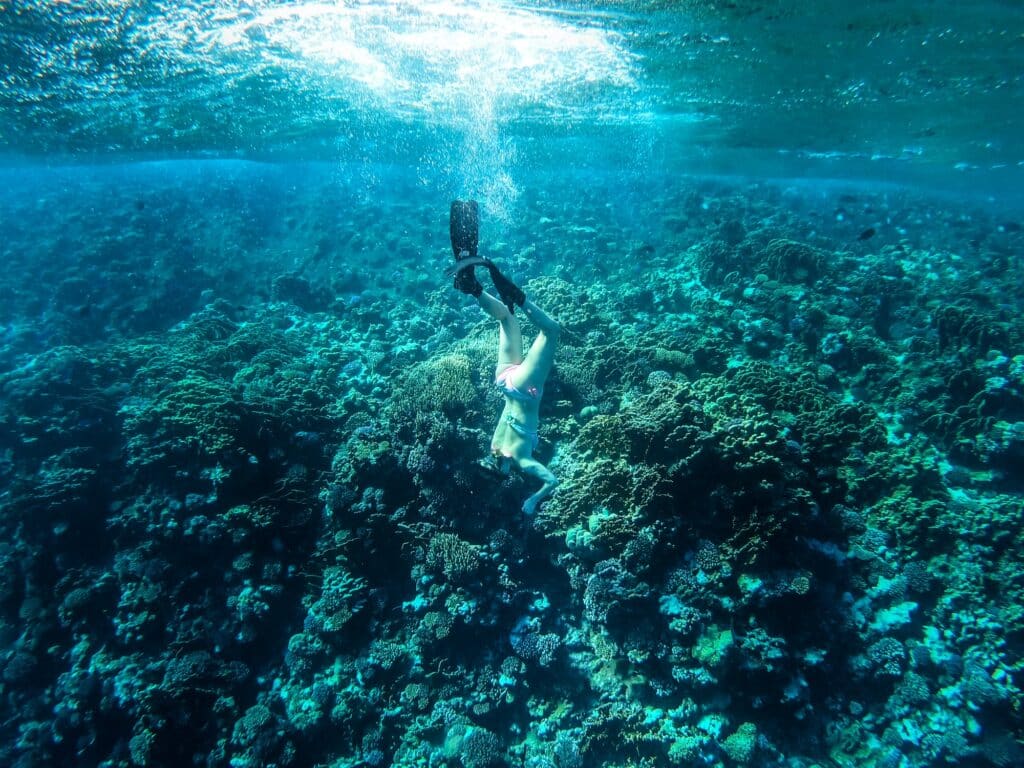Red Sea Reisen