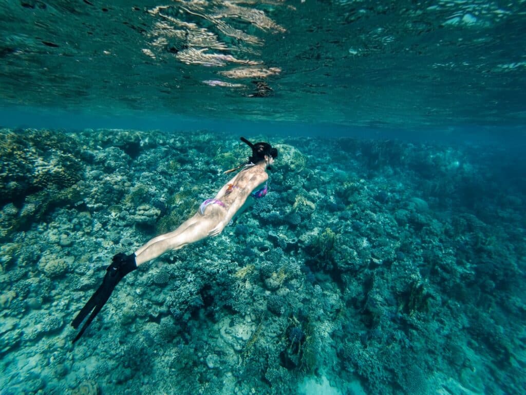 Red Sea Reisen
