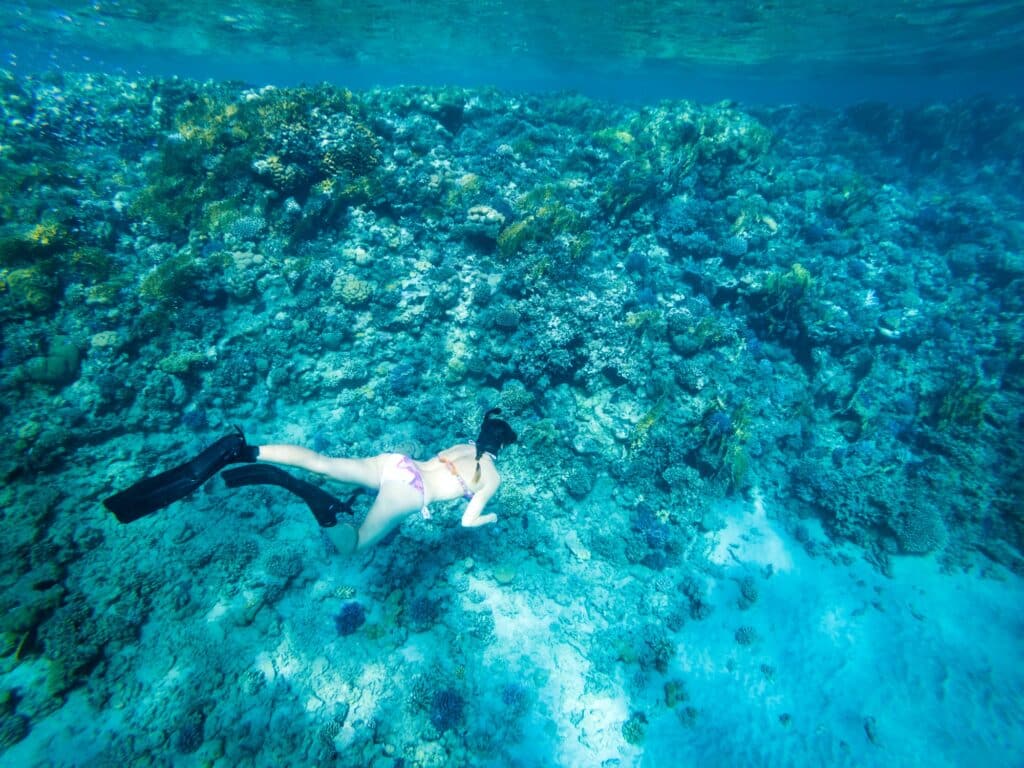 Red Sea Reisen