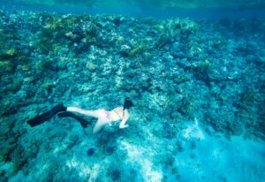 Tourist Snorkeling Turquoise Red Sea Egypt