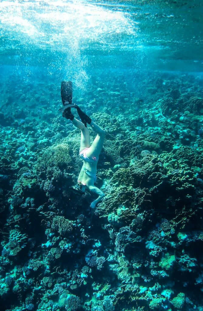 Red Sea Reisen