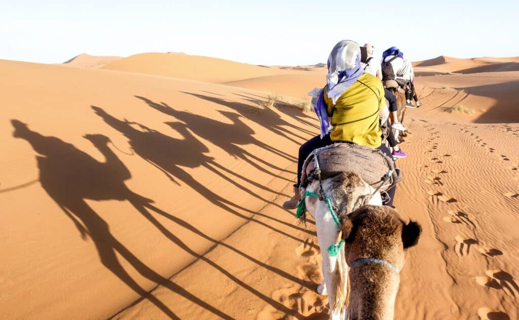 Red Sea Reisen