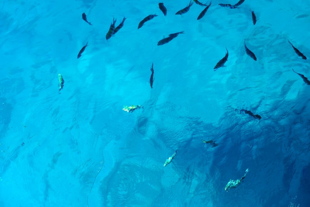 Red Sea Reisen