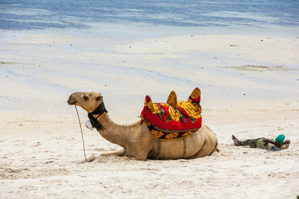 Red Sea Reisen