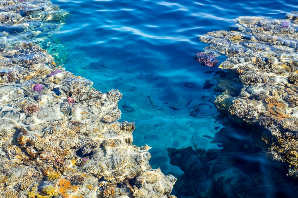 Red Sea Reisen