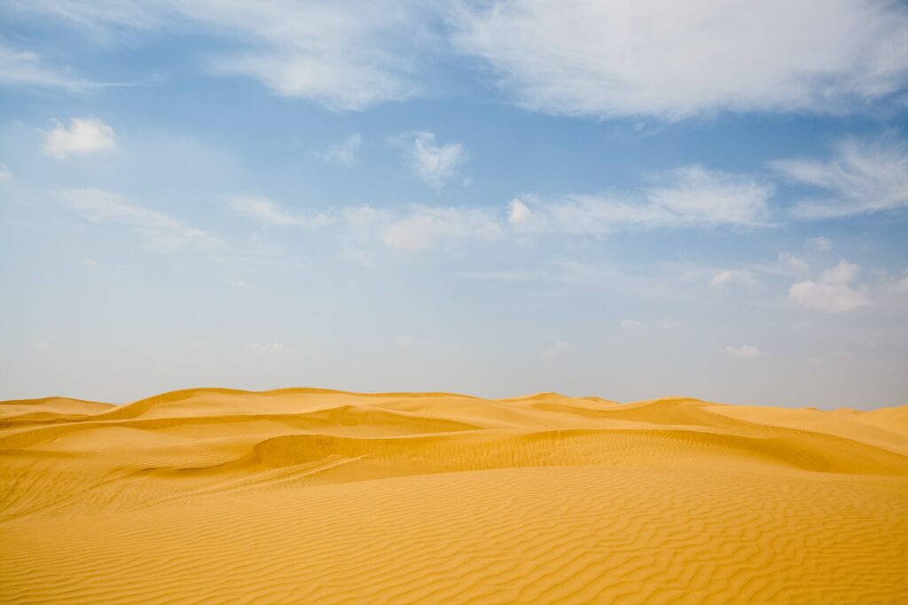 Red Sea Reisen