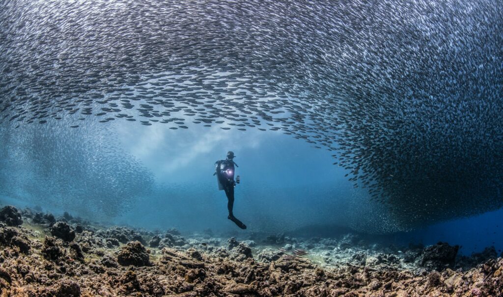 Red Sea Reisen