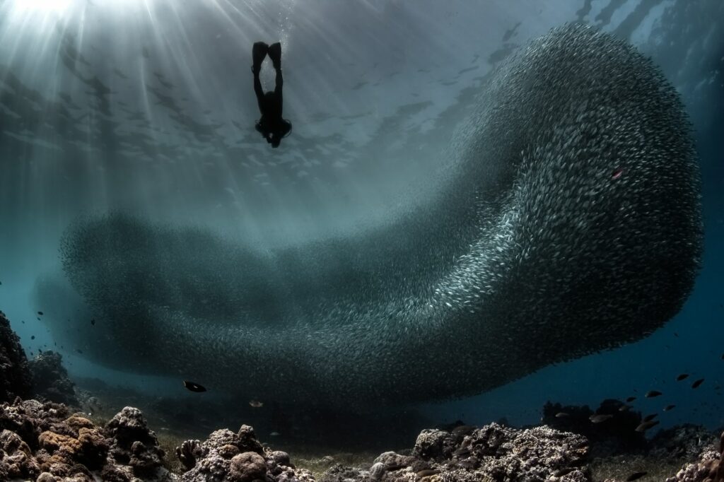 Red Sea Reisen