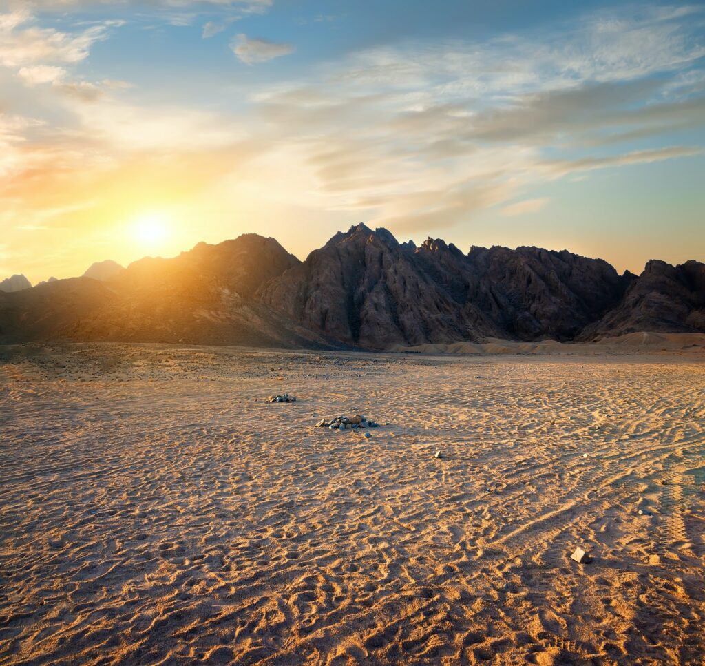 Red Sea Reisen