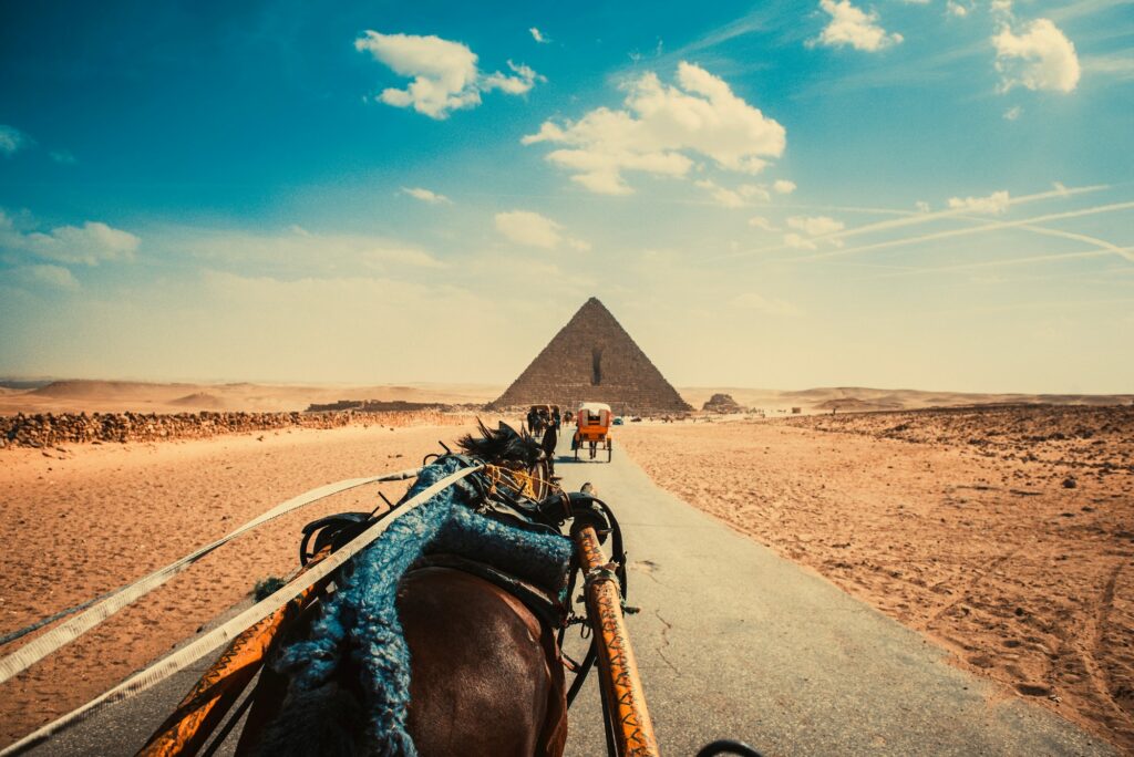 Red Sea Reisen
