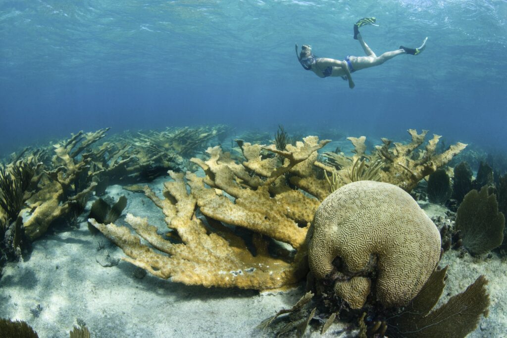 Red Sea Reisen