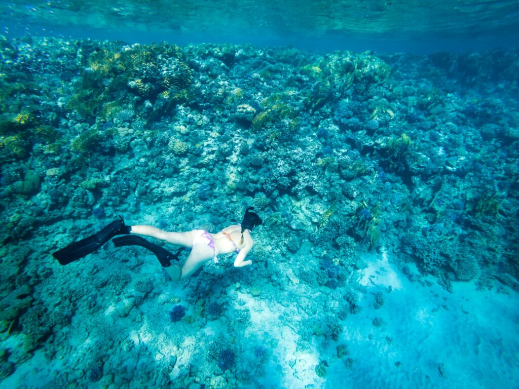 Red Sea Reisen