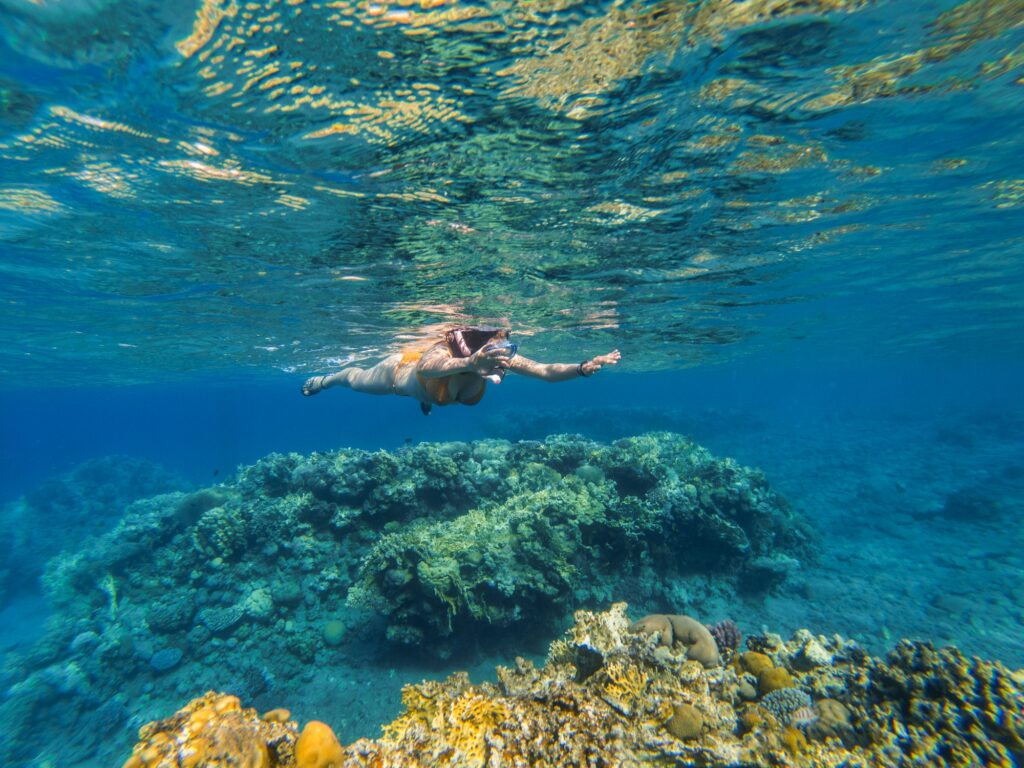 Red Sea Reisen