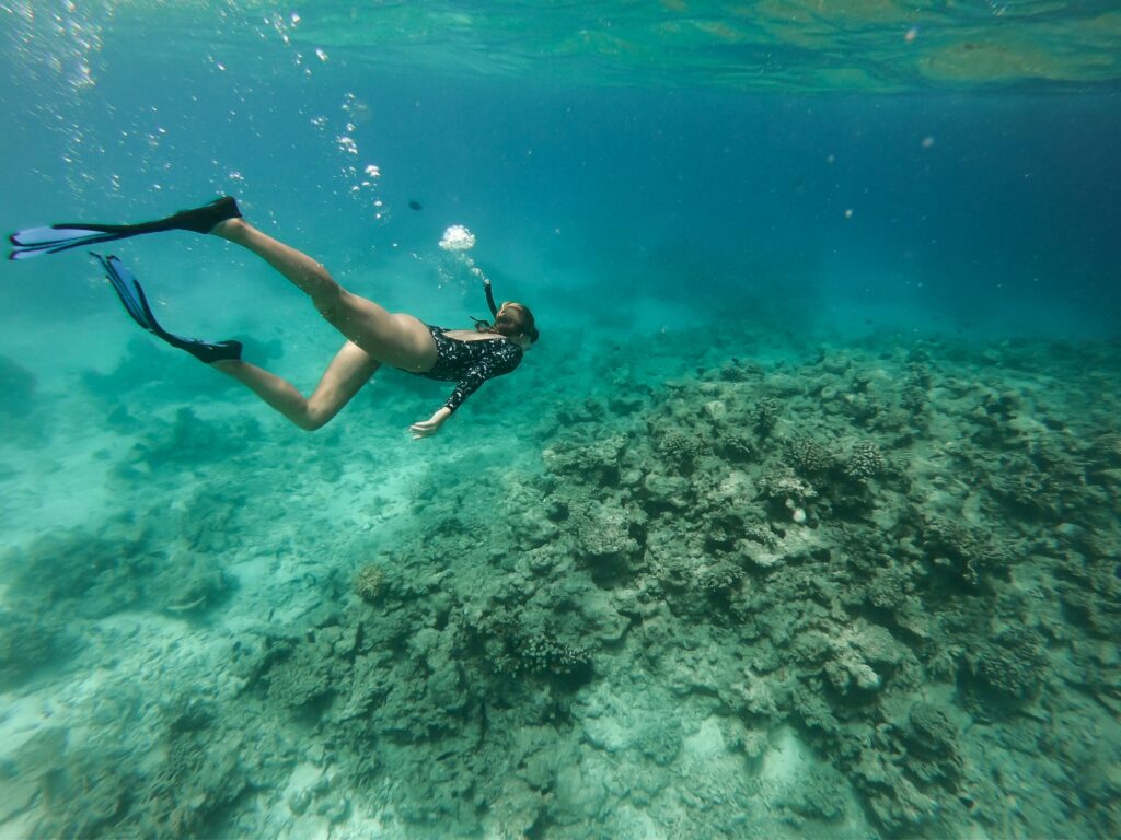 Red Sea Reisen