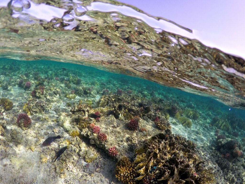 Red Sea Reisen