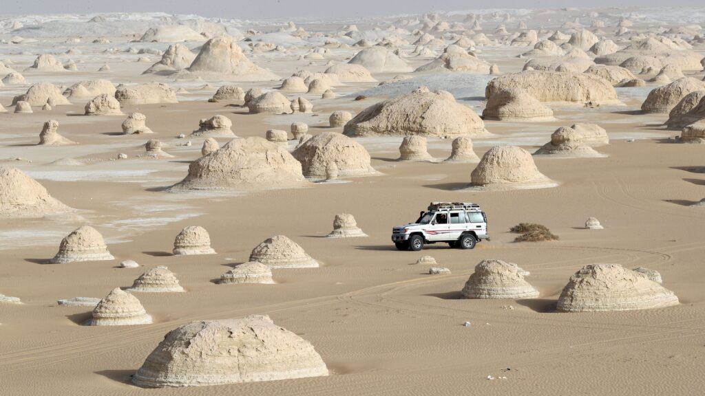 Red Sea Reisen