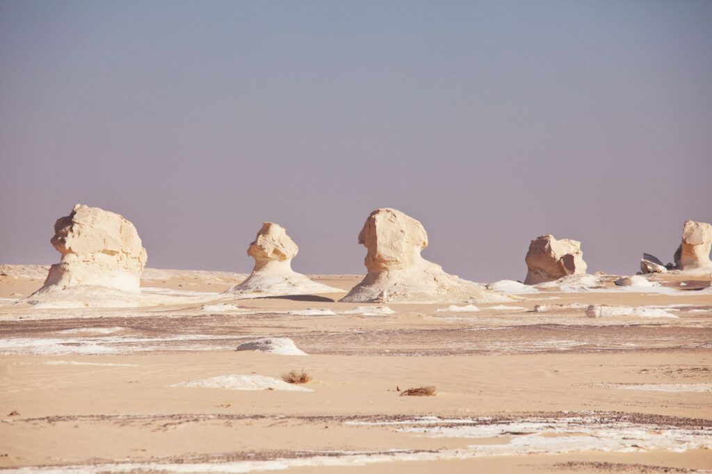 Red Sea Reisen