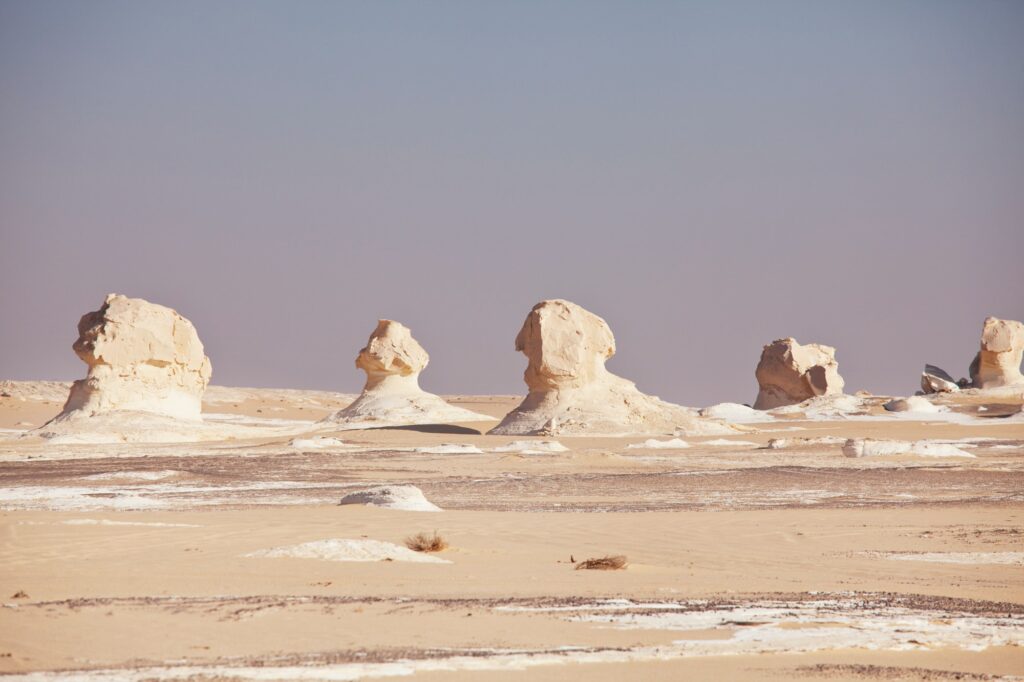 Red Sea Reisen