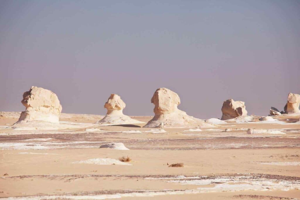 Red Sea Reisen