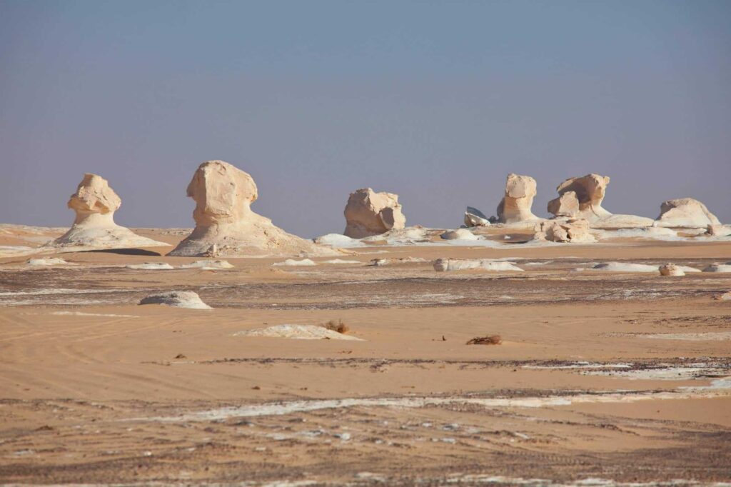 Red Sea Reisen