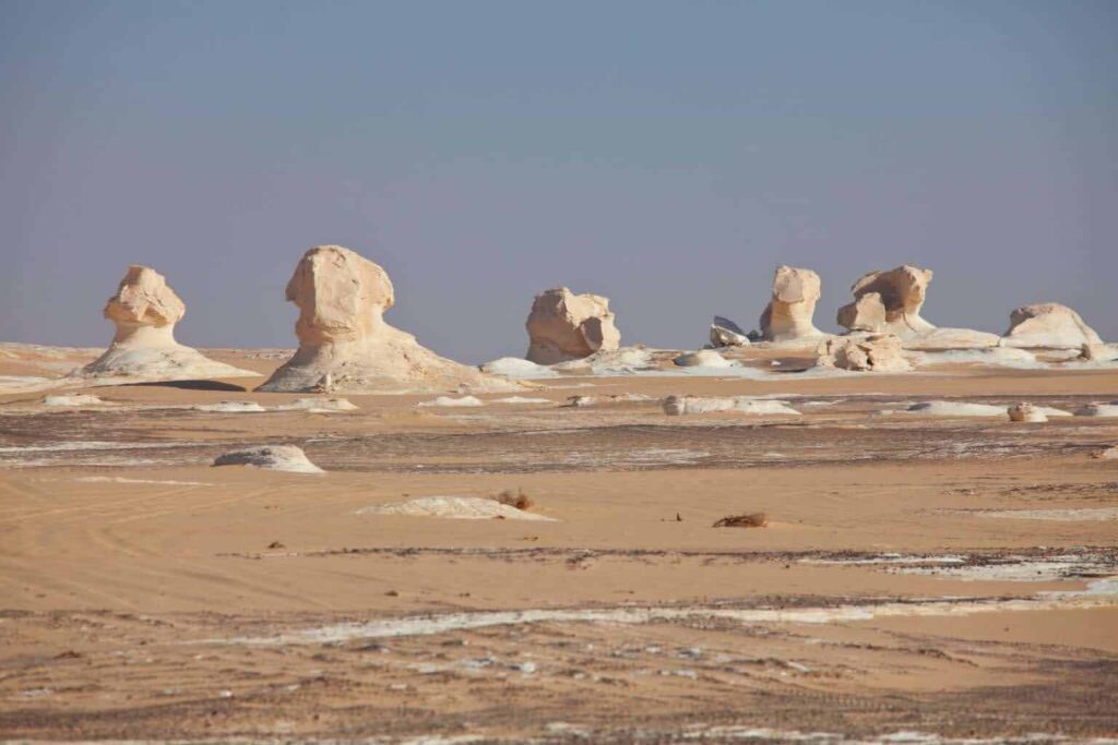 Red Sea Reisen