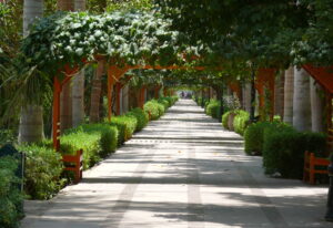 Aswan Botanical Garden