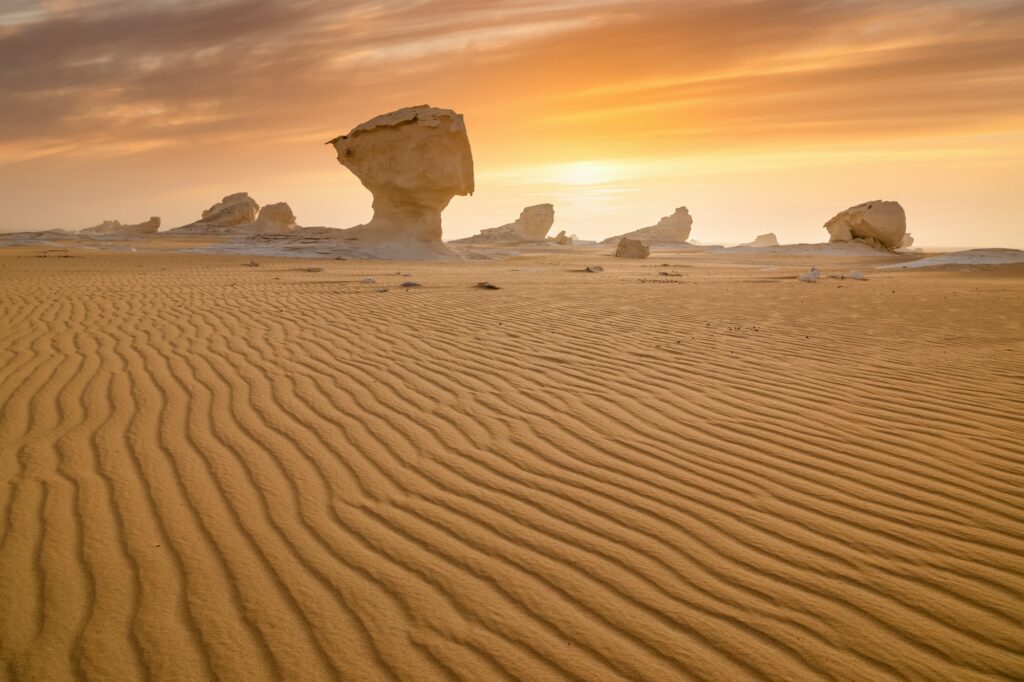 Red Sea Reisen