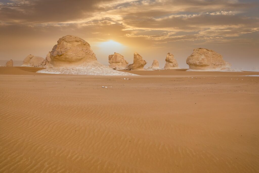 Red Sea Reisen