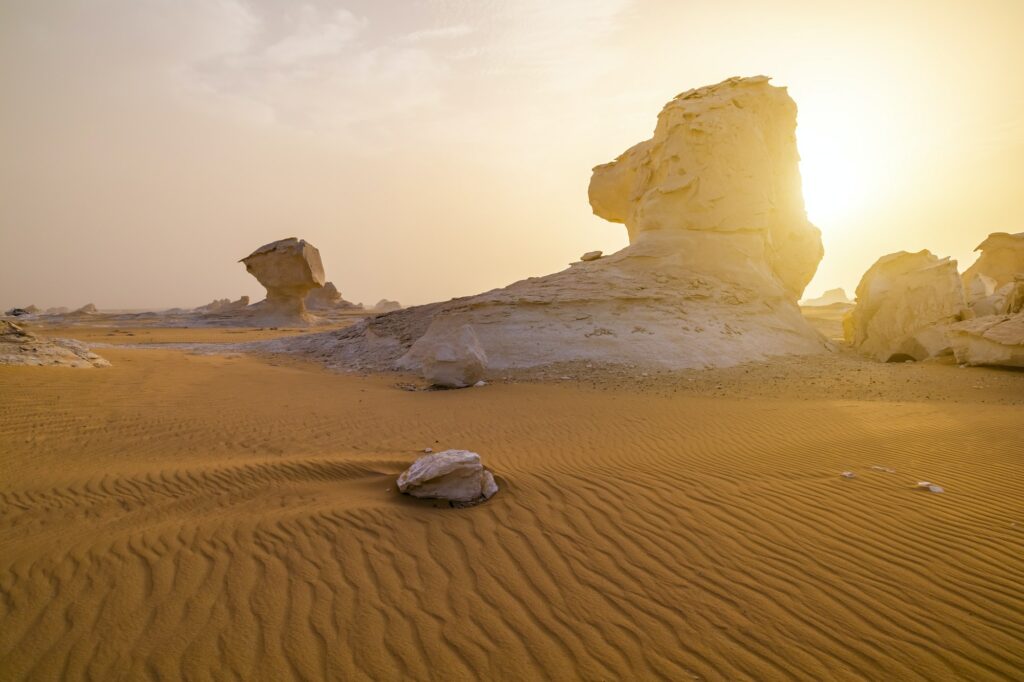 Red Sea Reisen