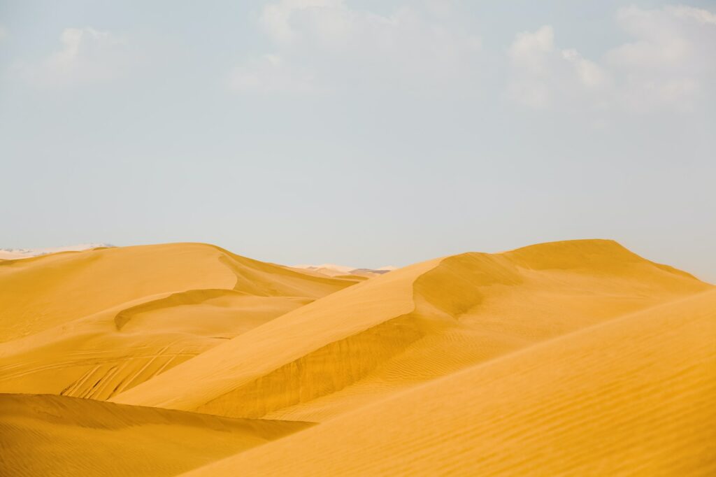 Red Sea Reisen